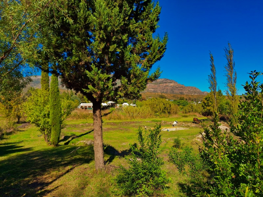 0 Bedroom Property for Sale in Barrydale Western Cape